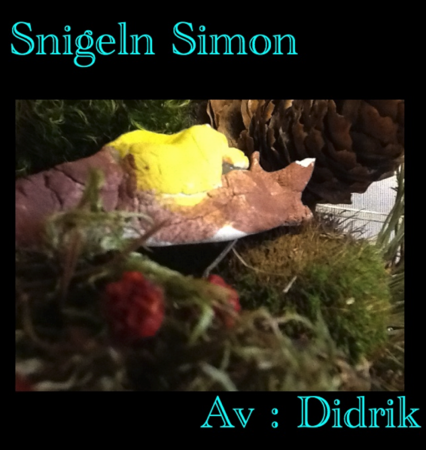 didrik_fredin-snigeln-simon.png