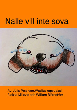 julia_p-wasika_k-aleksa_m-william_b-nalle-vill-inte-sova.jpg