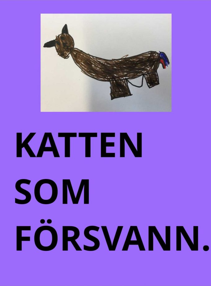 Katten som försvann