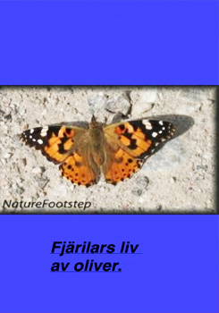 oliver_m-fjarilars-liv.jpg